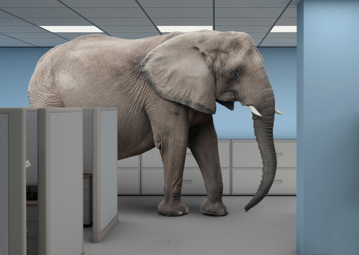 Thinking of an LMS for your business?